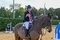 Equiyd National Amateur Championship Second Rounds Conclude at Northallerton Equestrian Centre 
